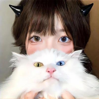 猫和老鼠1975